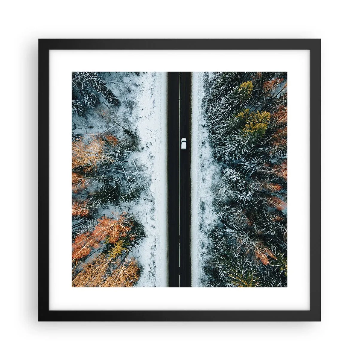Plakat w czarnej ramie - Przeciąć zimowy las - 40x40 cm