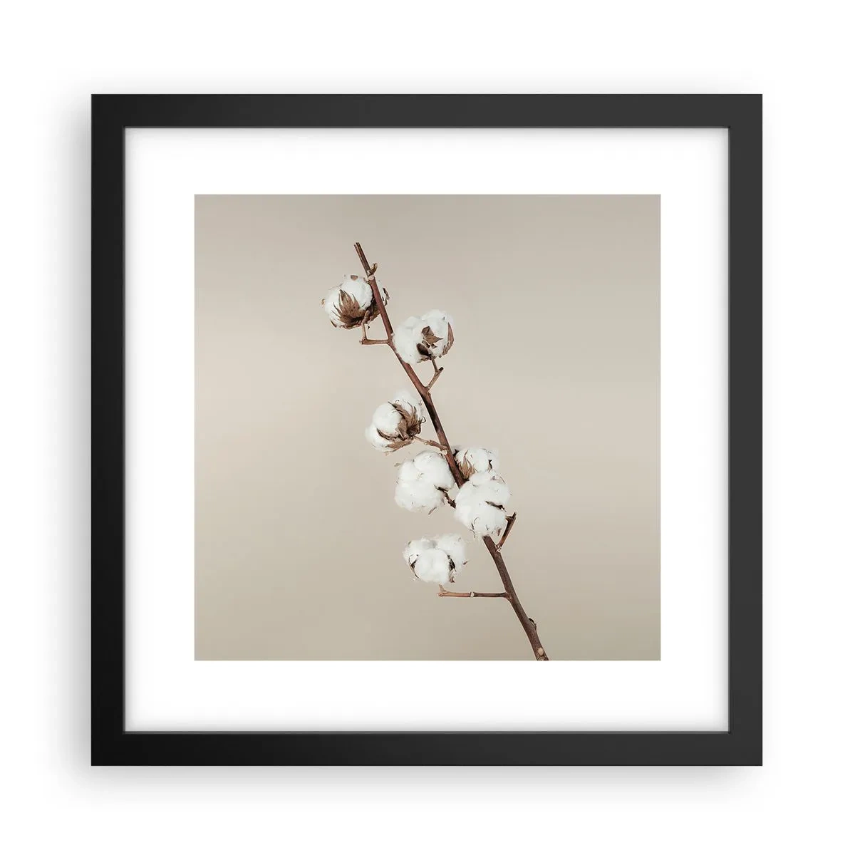 Plakat w czarnej ramie - U źródła miękkości - 30x30 cm