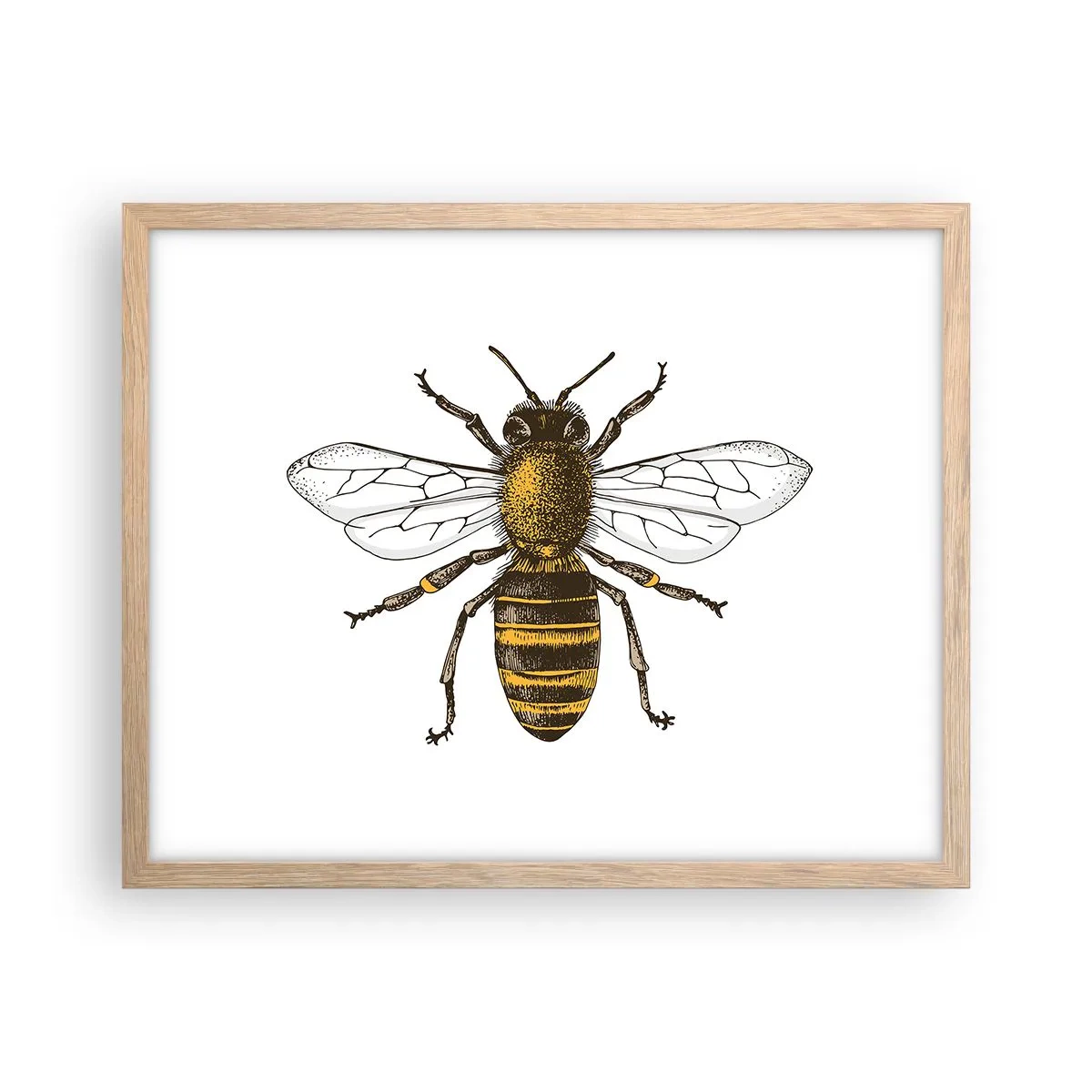 Plakat w ramie jasny dąb - Piękna i dobra - 50x40 cm