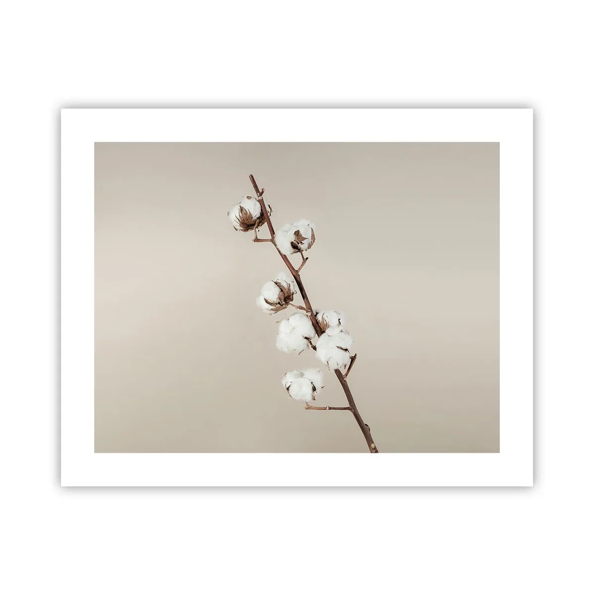 Plakat - U źródła miękkości - 50x40 cm