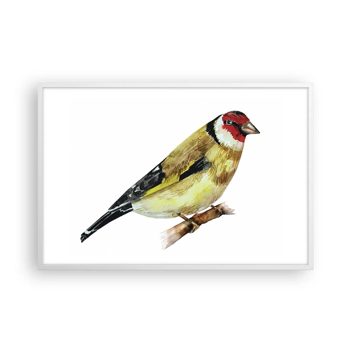 Plakat w białej ramie - Ptasi portret - 91x61 cm