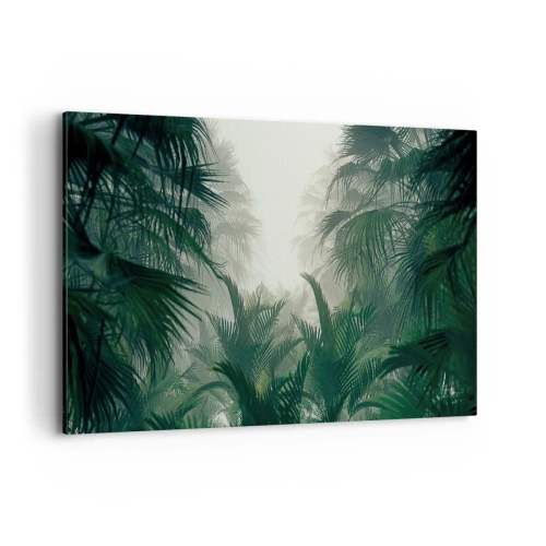 Obraz na płótnie - Tropikalna roślinność w gęstej mgle w lesie deszczowym - 120x80cm - Tropikalna tajemnica - Nowoczesna dekoracja ścienna do salonu, kuchni i sypialni ARTTOR