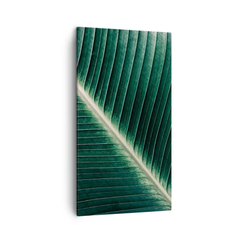 Obraz na płótnie - Rytm natury - 45x80 cm