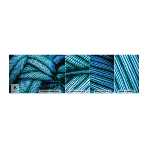 Fototapeta Próbka Standard Eco - Linie życia - Liście, Botanika, Rośliny - 100x30 cm