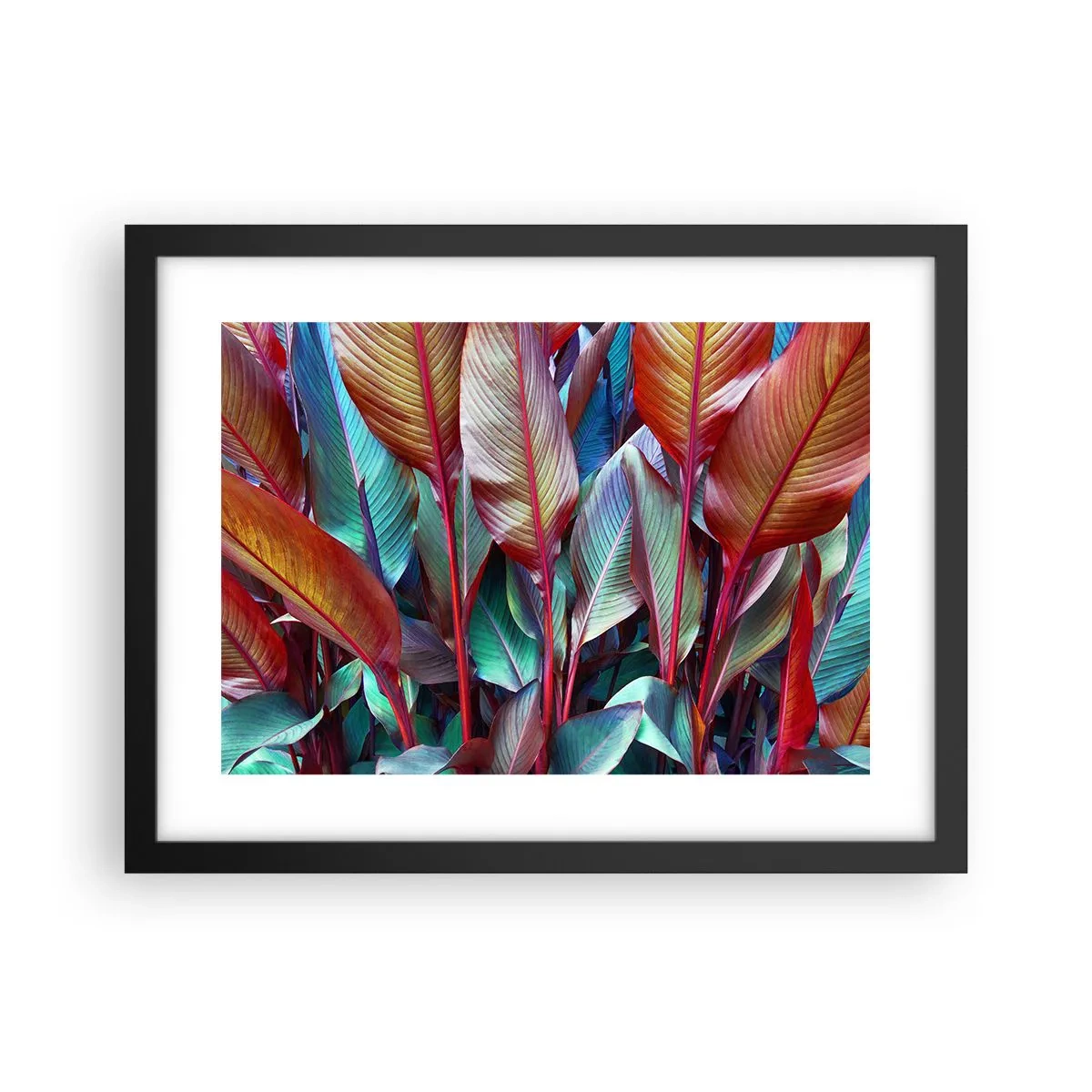 Plakat w czarnej ramie - Kolorowy gąszcz - 40x30 cm