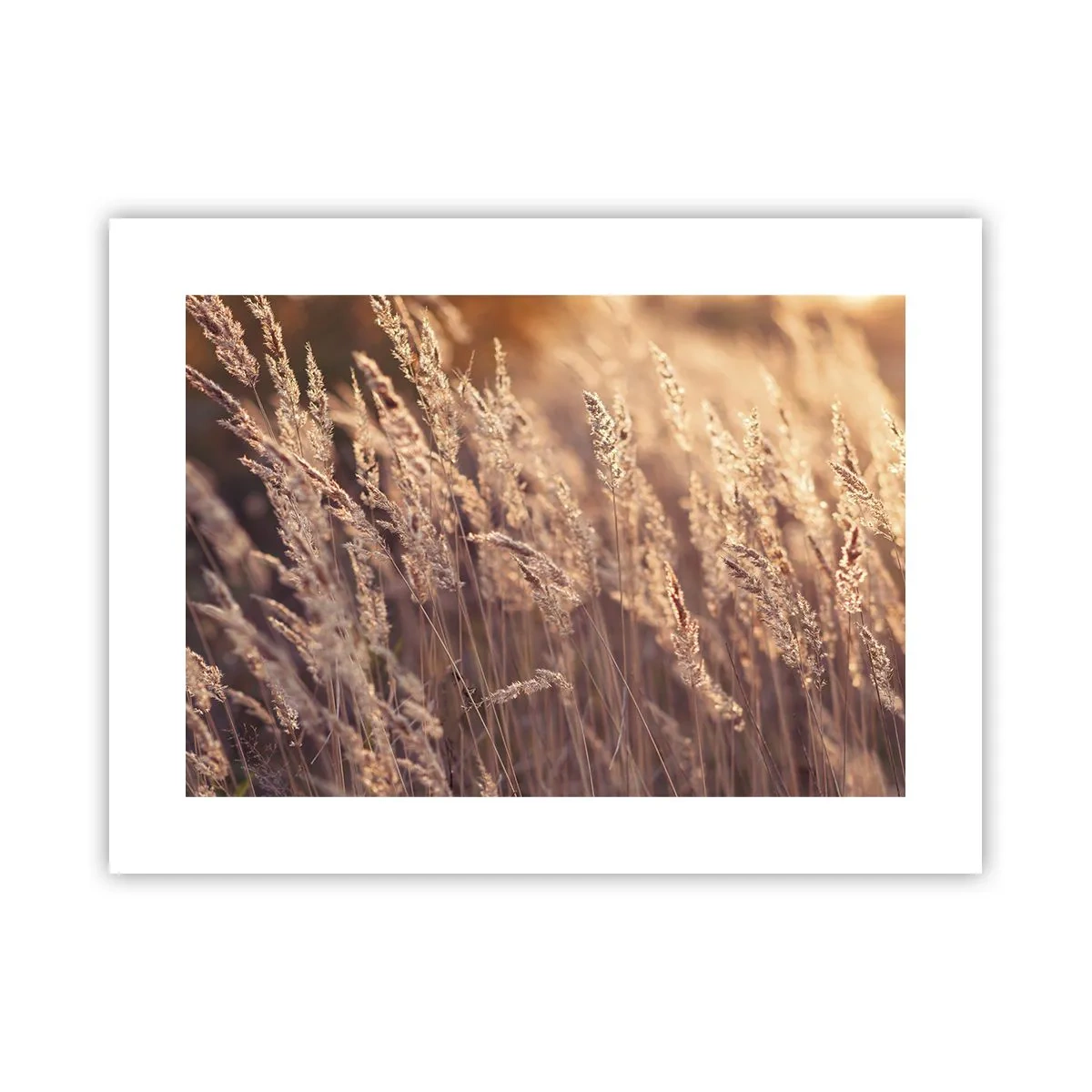 Plakat - Gotowe na powitanie jesieni - 40x30 cm