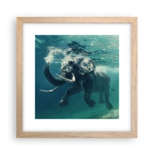 Plakat w ramie jasny dąb - Wszyscy lubią pływać - 30x30 cm