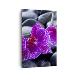 Obraz na płótnie - Fioletowe orchidee na tle czarnych kamieni - 80x120cm - Kamienie pojaśniały z zachwytu - Nowoczesna dekoracja ścienna do salonu i sypialni ARTTOR