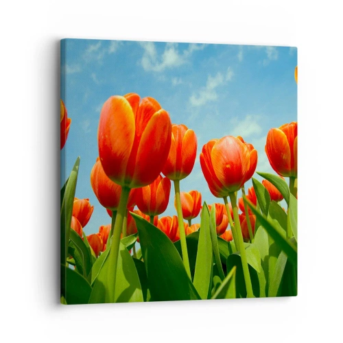 Obraz na płótnie - Oprócz błękitnego nieba nic im w życiu nie potrzeba - 30x30 cm