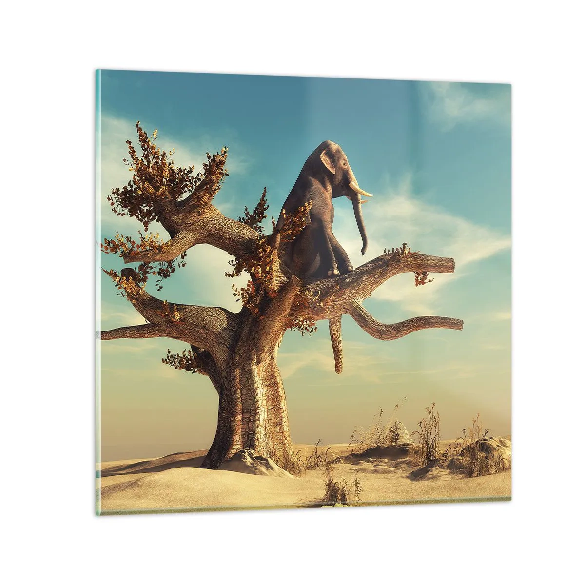 Obraz na szkle - Nowy punkt widzenia - 60x60 cm