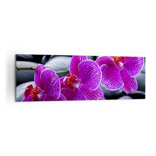 Obraz na płótnie - Fioletowe orchidee na tle czarnych kamieni - 160x50cm - Kamienie pojaśniały z zachwytu - Nowoczesna dekoracja ścienna do salonu i sypialni ARTTOR