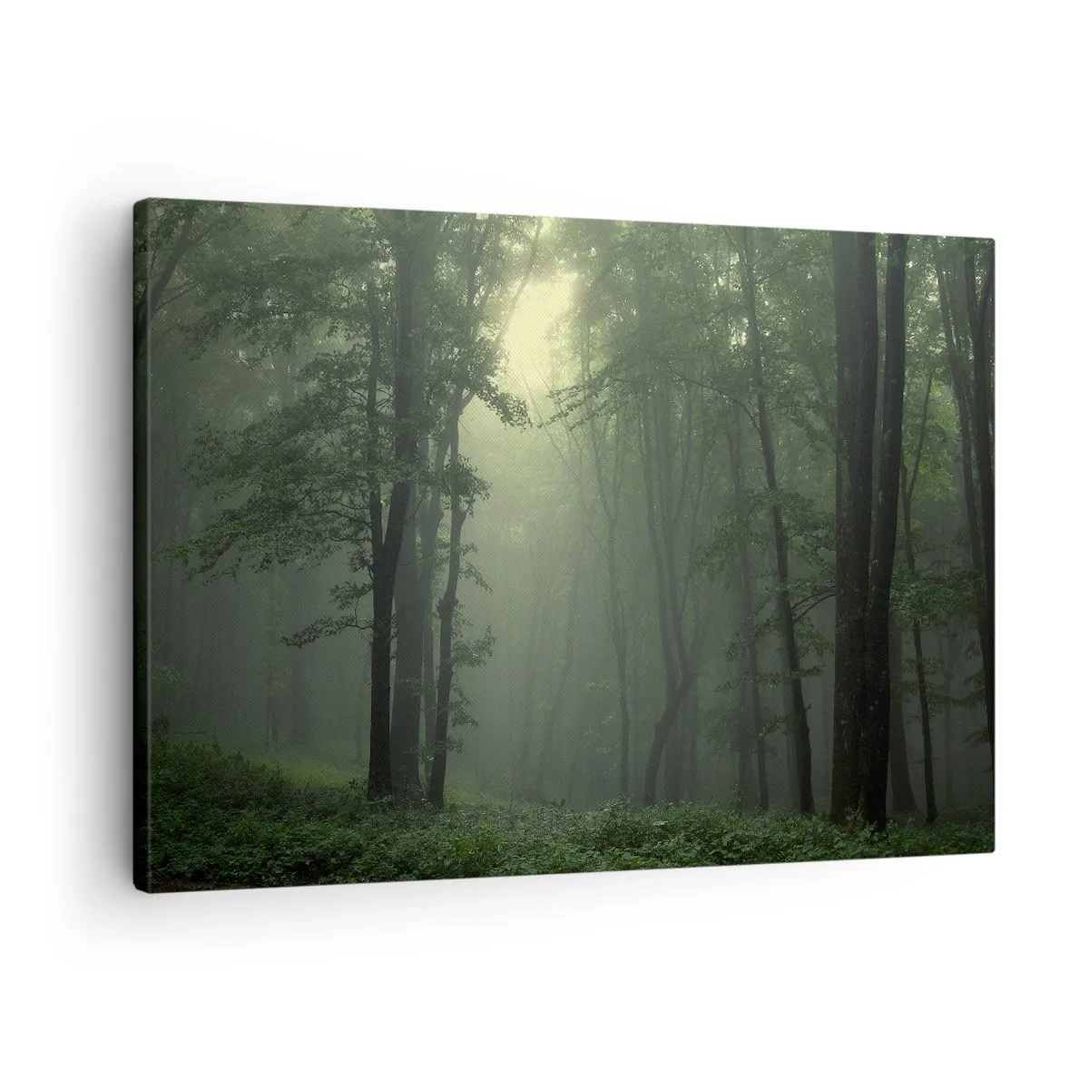 Obraz na płótnie - Zielony las o poranku otulony delikatną mgłą - 70x50cm - Zanim się obudzi - Nowoczesna dekoracja ścienna do salonu i sypialni ARTTOR
