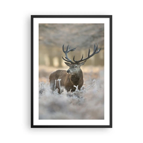 Plakat w czarnej ramie - Dostojny jeleń w zimowej scenerii leśnej - 50x70cm - Rześki poranek - Nowoczesna dekoracja ścienna do salonu i sypialni ARTTOR
