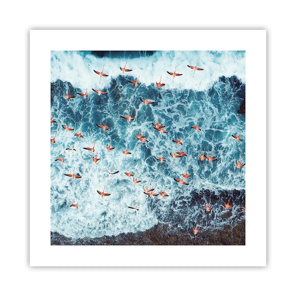 Plakat - Nadmorska parada - 40x40 cm