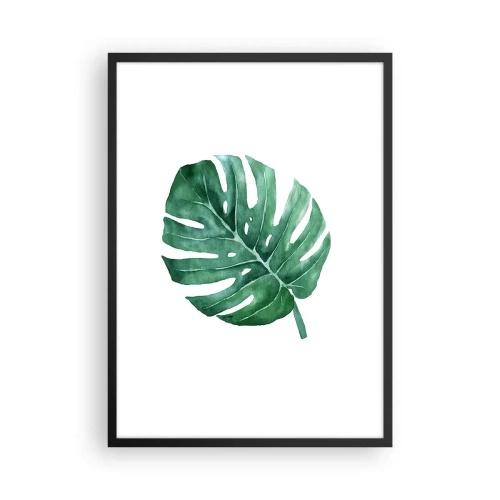 Plakat w czarnej ramie - Akwarelowa ilustracja liścia monstery na białym tle - 50x70cm - Zielony koncept - Nowoczesna dekoracja ścienna do salonu i sypialni ARTTOR