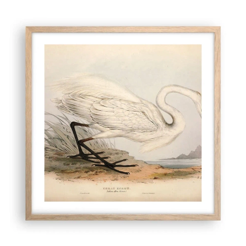 Plakat w ramie jasny dąb - Pani na szuwarach - 50x50 cm