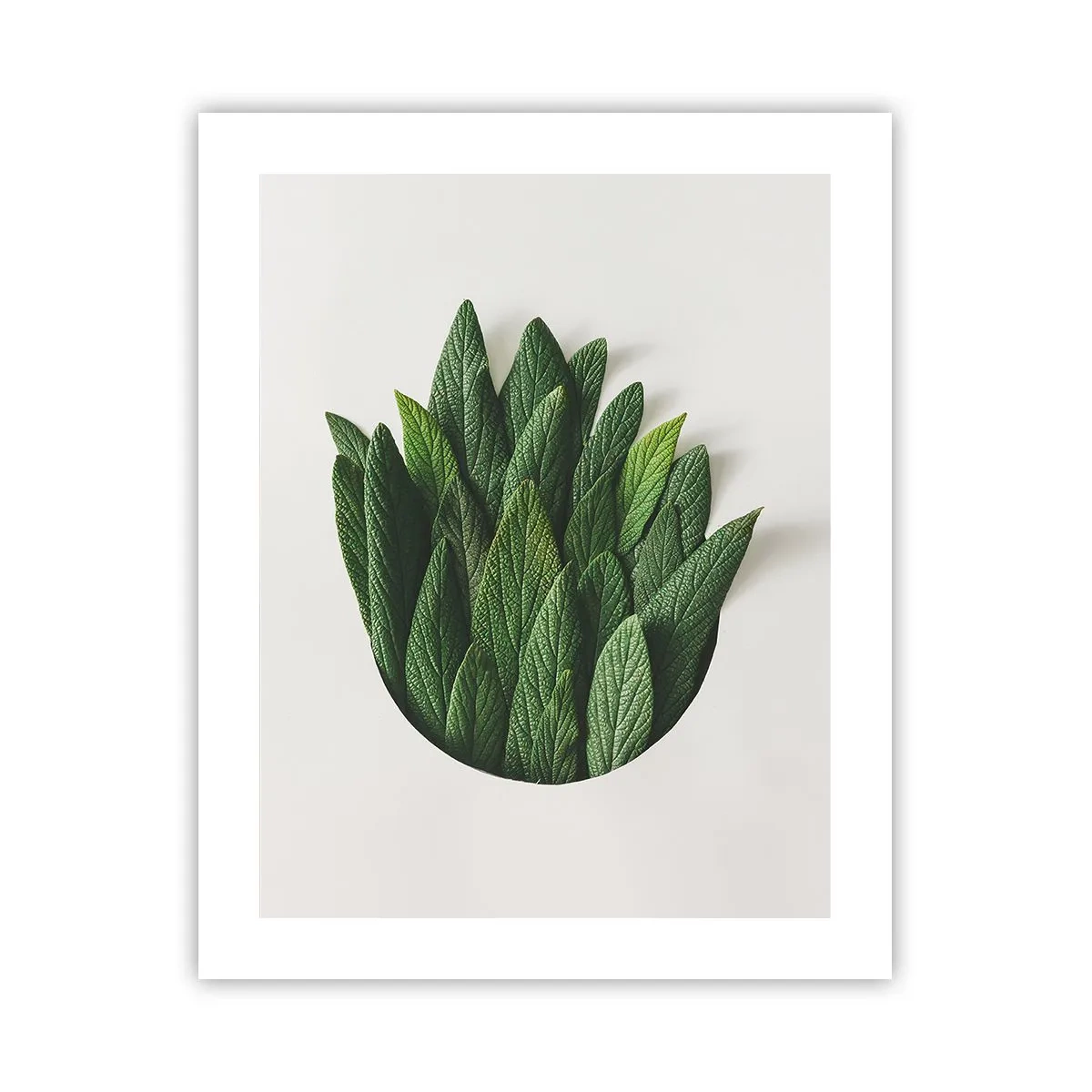 Plakat - Nieposkromiona ciekawość - 40x50 cm