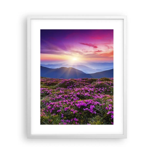 Plakat w białej ramie - Ziół zapachniały świeże pęki od niw - 40x50 cm