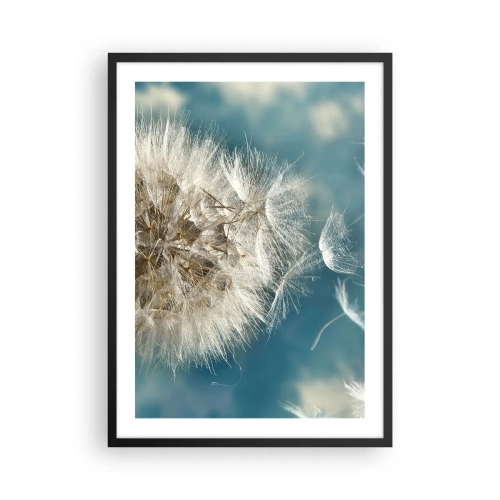 Plakat w czarnej ramie - Delikatne nasiona dmuchawca na błękitnym tle - 50x70cm - Oddech anioła - Nowoczesna dekoracja ścienna do salonu i sypialni ARTTOR