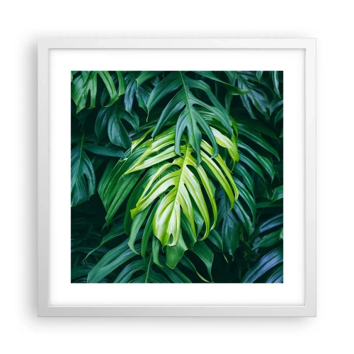 Plakat w białej ramie - Zanurzyć się w świeżości - 40x40 cm