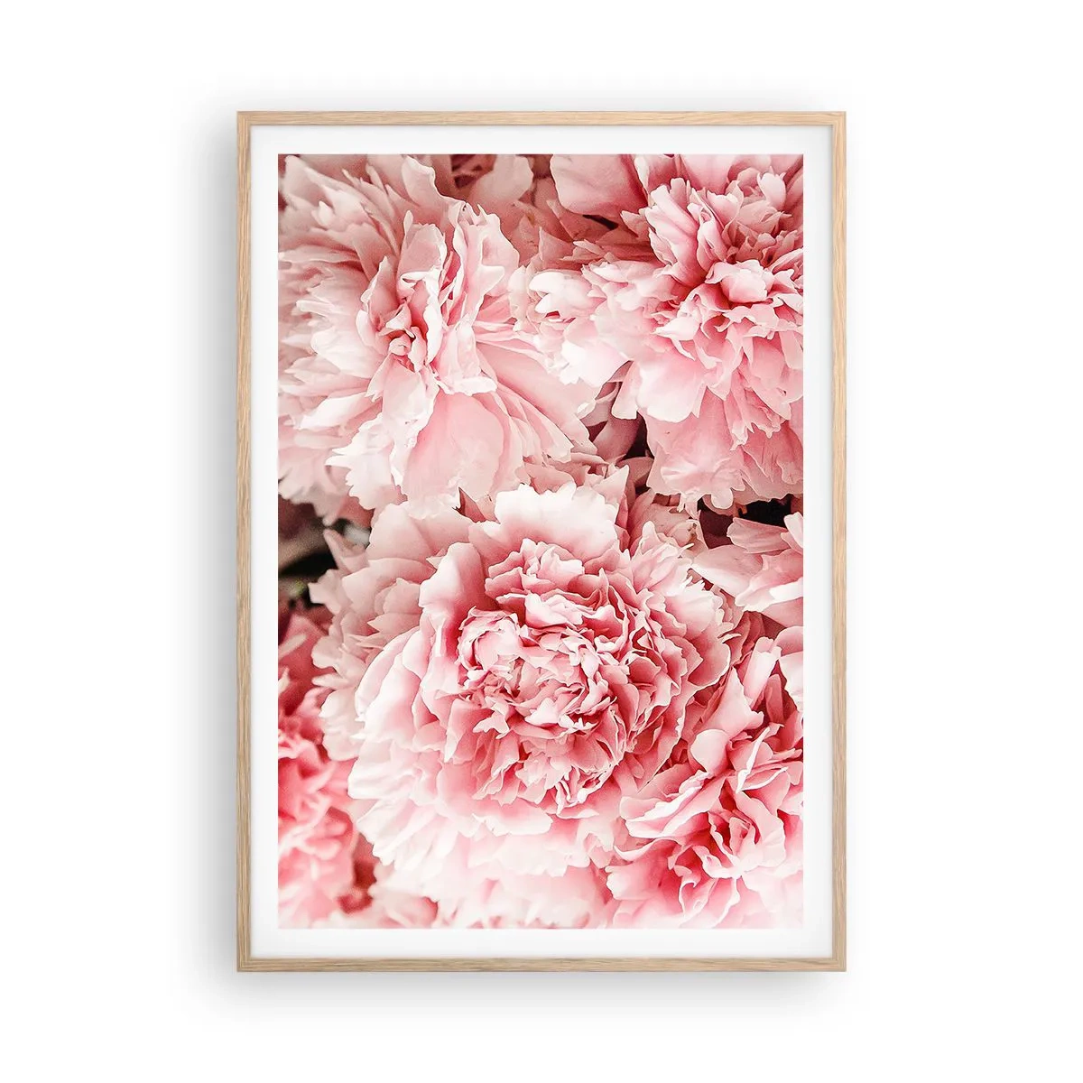 Plakat w ramie jasny dąb - Różowe marzenie - 70x100 cm