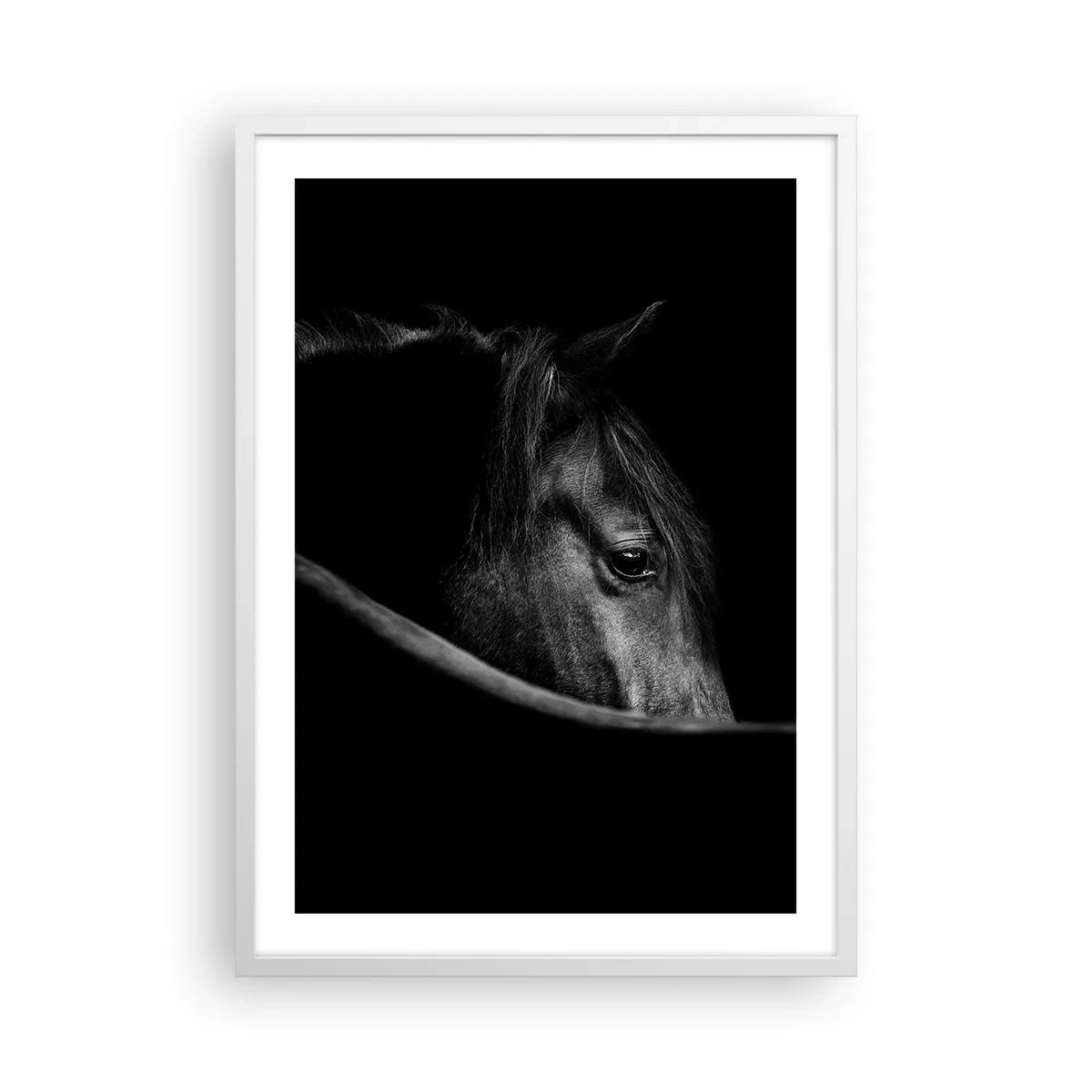 Plakat w białej ramie - Czarny książę - 50x70 cm