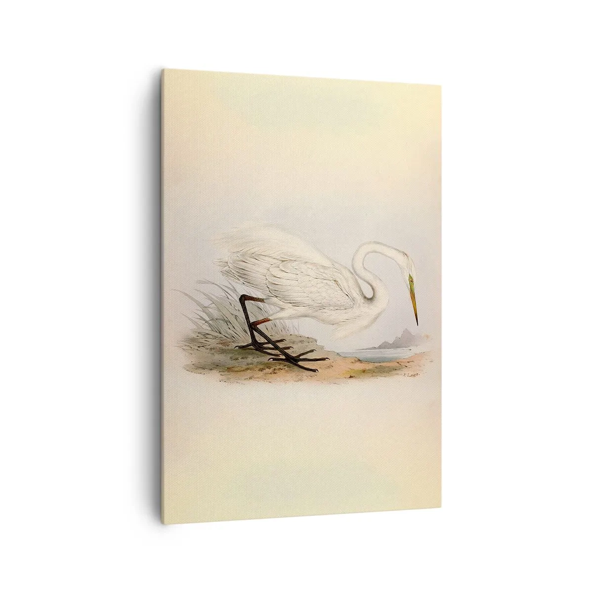 Obraz na płótnie - Rysunek białej czapli na tle naturalnego krajobrazu - 70x100cm - Pani na szuwarach - Nowoczesna dekoracja ścienna do salonu i sypialni ARTTOR