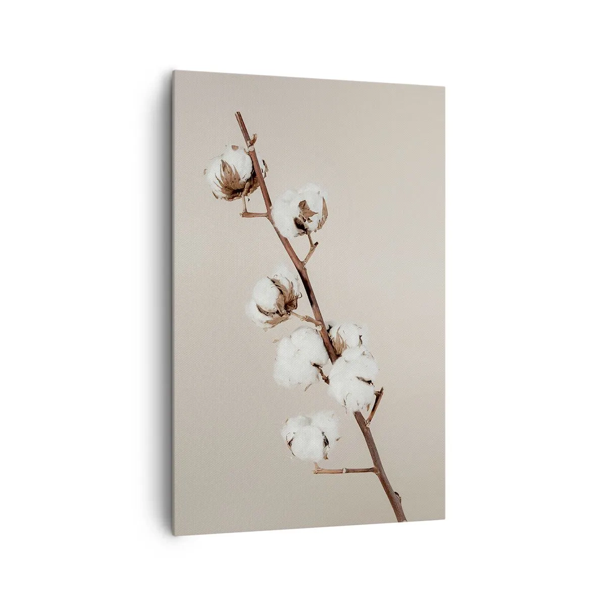 Obraz na płótnie - Gałązka bawełny na beżowym tle - 80x120cm - U źródła miękkości - Nowoczesna dekoracja ścienna do salonu i sypialni ARTTOR
