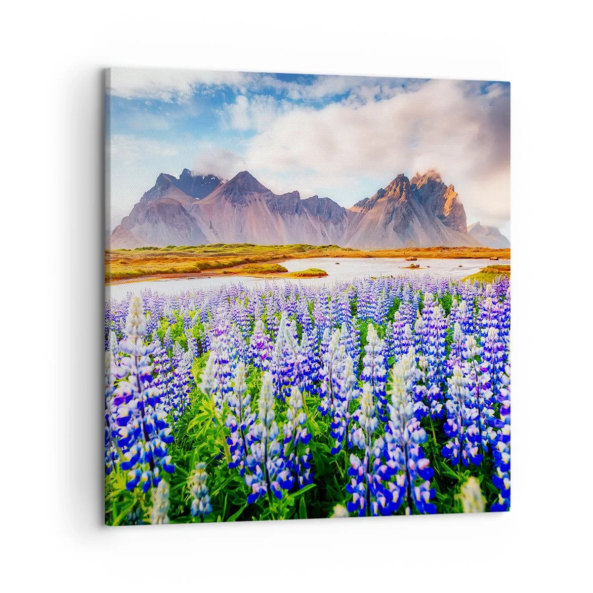 Obraz na płótnie - Siła i surowość obok łagodności - 50x50 cm