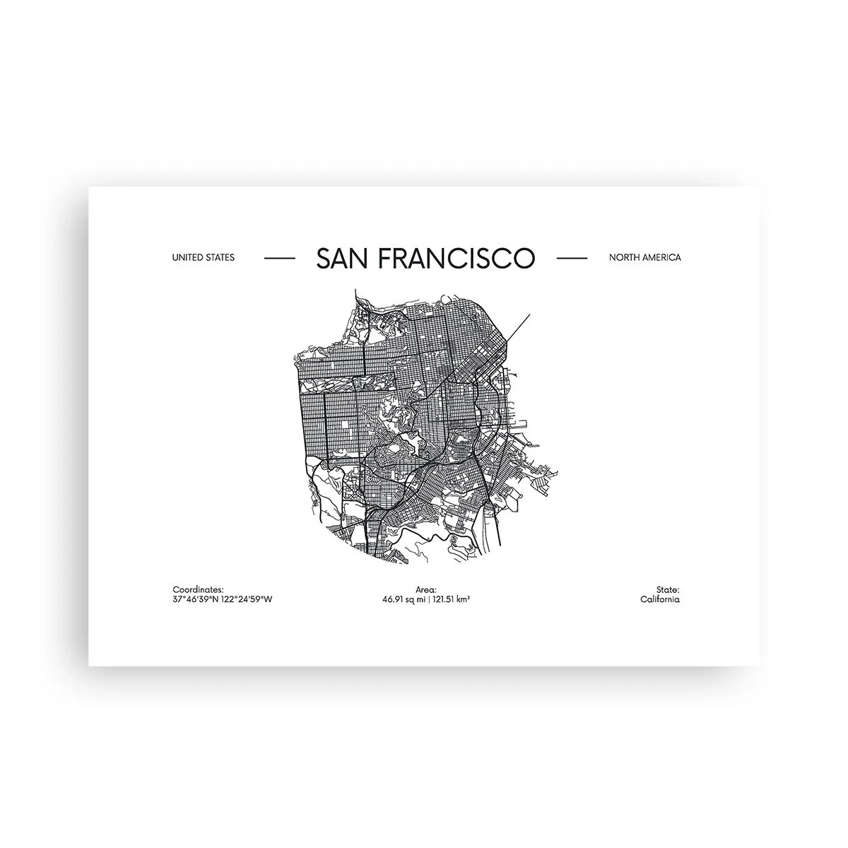 Plakat - Anatomia San Francisco - 70x50 cm