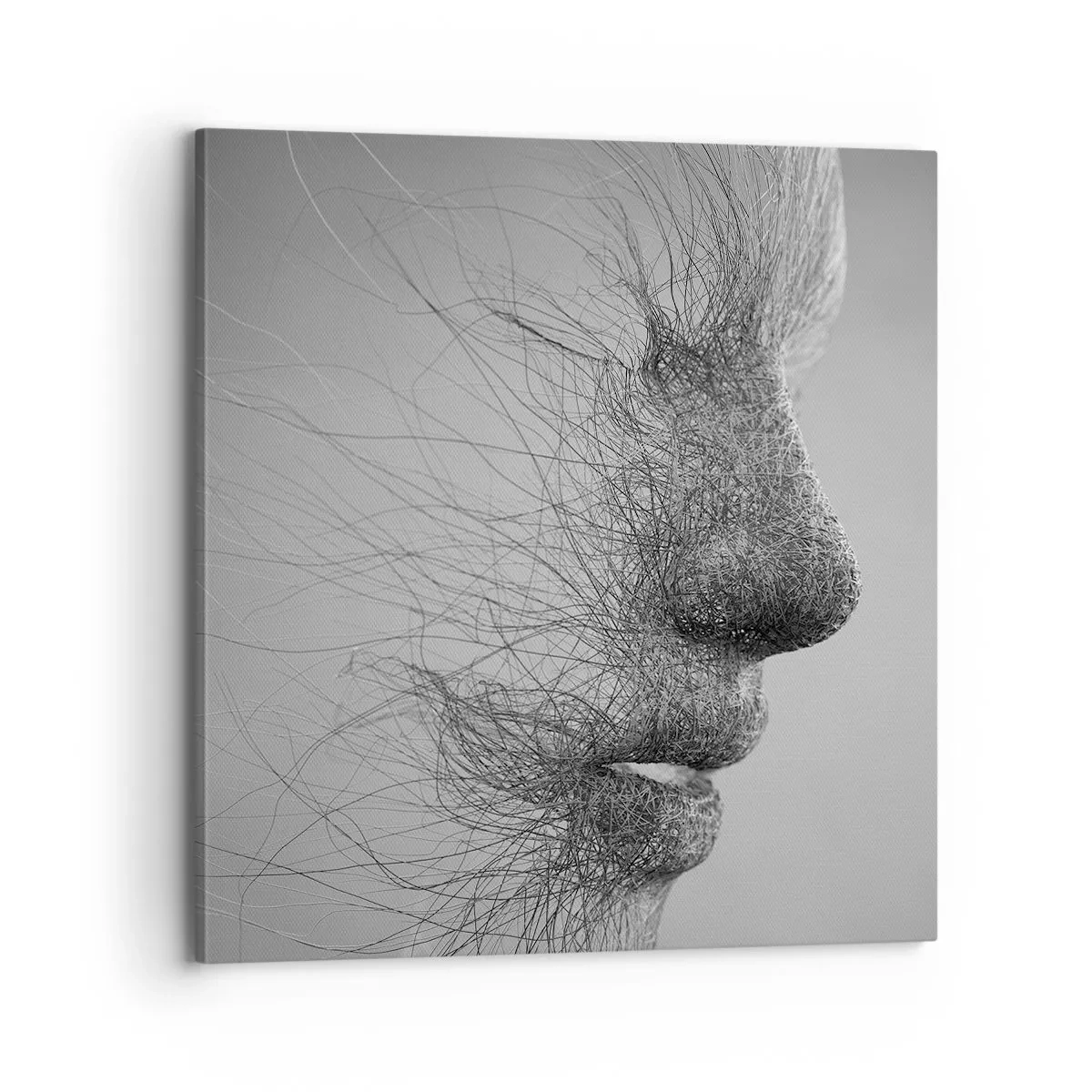 Obraz na płótnie - Duch wiatru - 70x70 cm