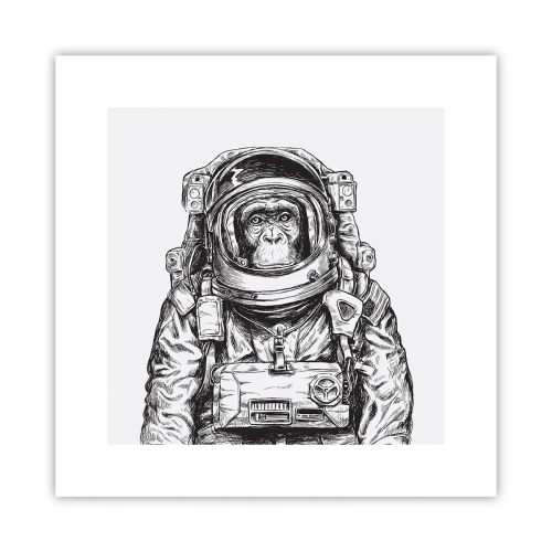 Plakat - Alternatywna ewolucja - 30x30 cm