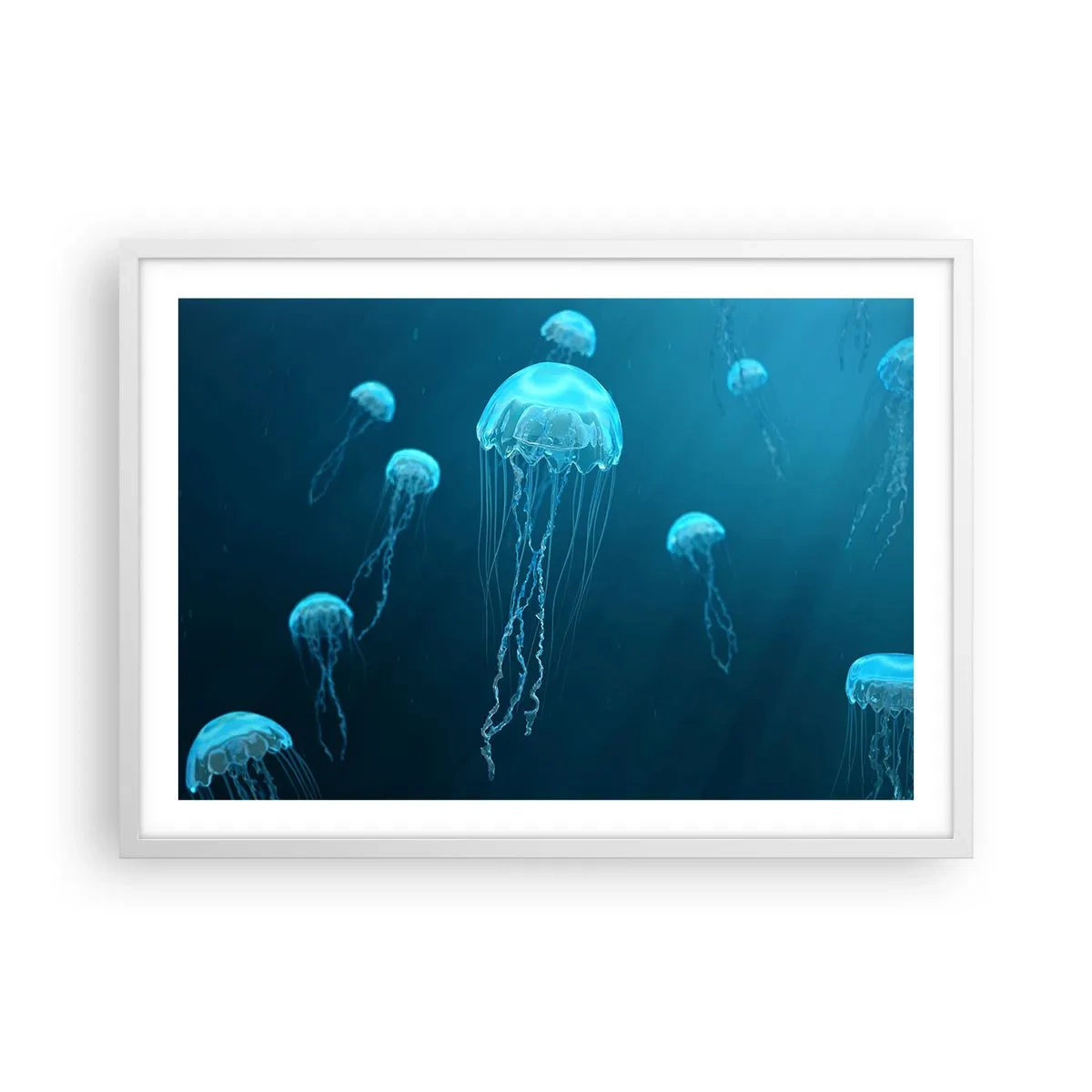 Plakat w białej ramie - Oceaniczny taniec - 70x50 cm