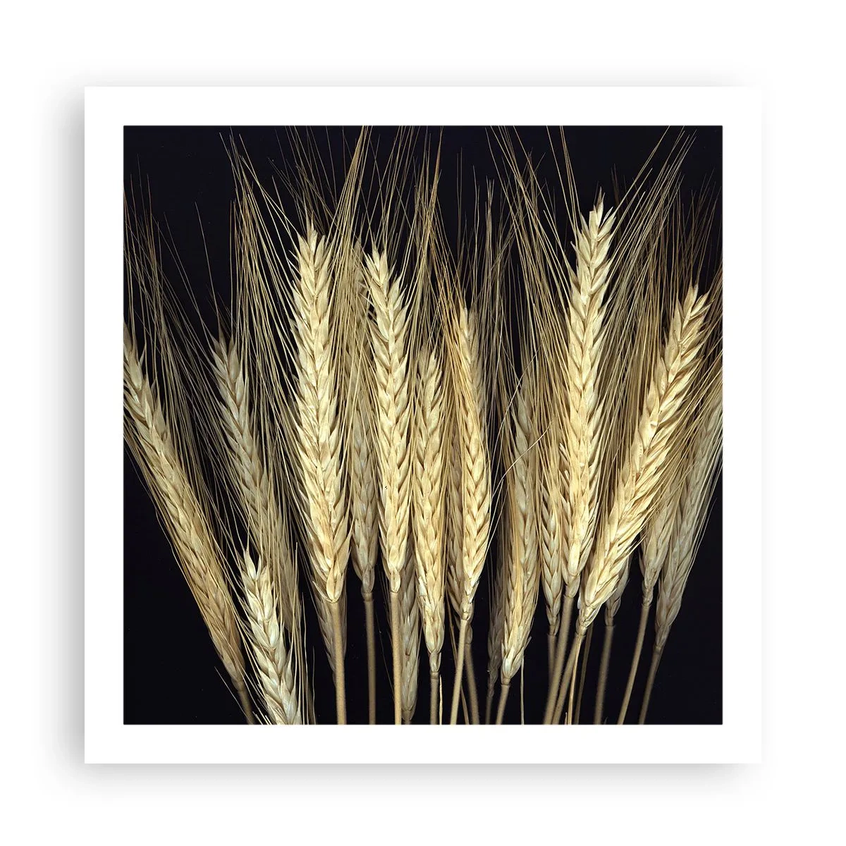 Plakat - Rustykalna magia - 60x60 cm