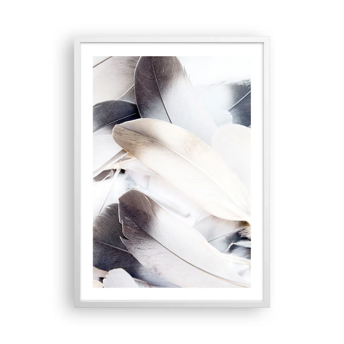Plakat w białej ramie - Niemal anielskie - 50x70 cm