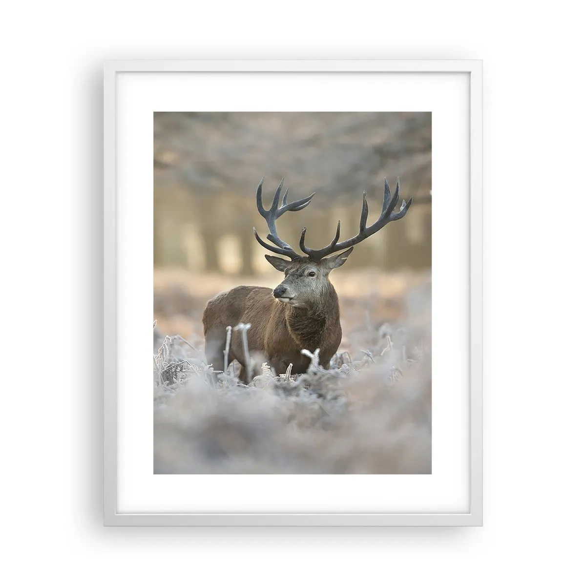 Plakat w białej ramie - Rześki poranek - 40x50 cm