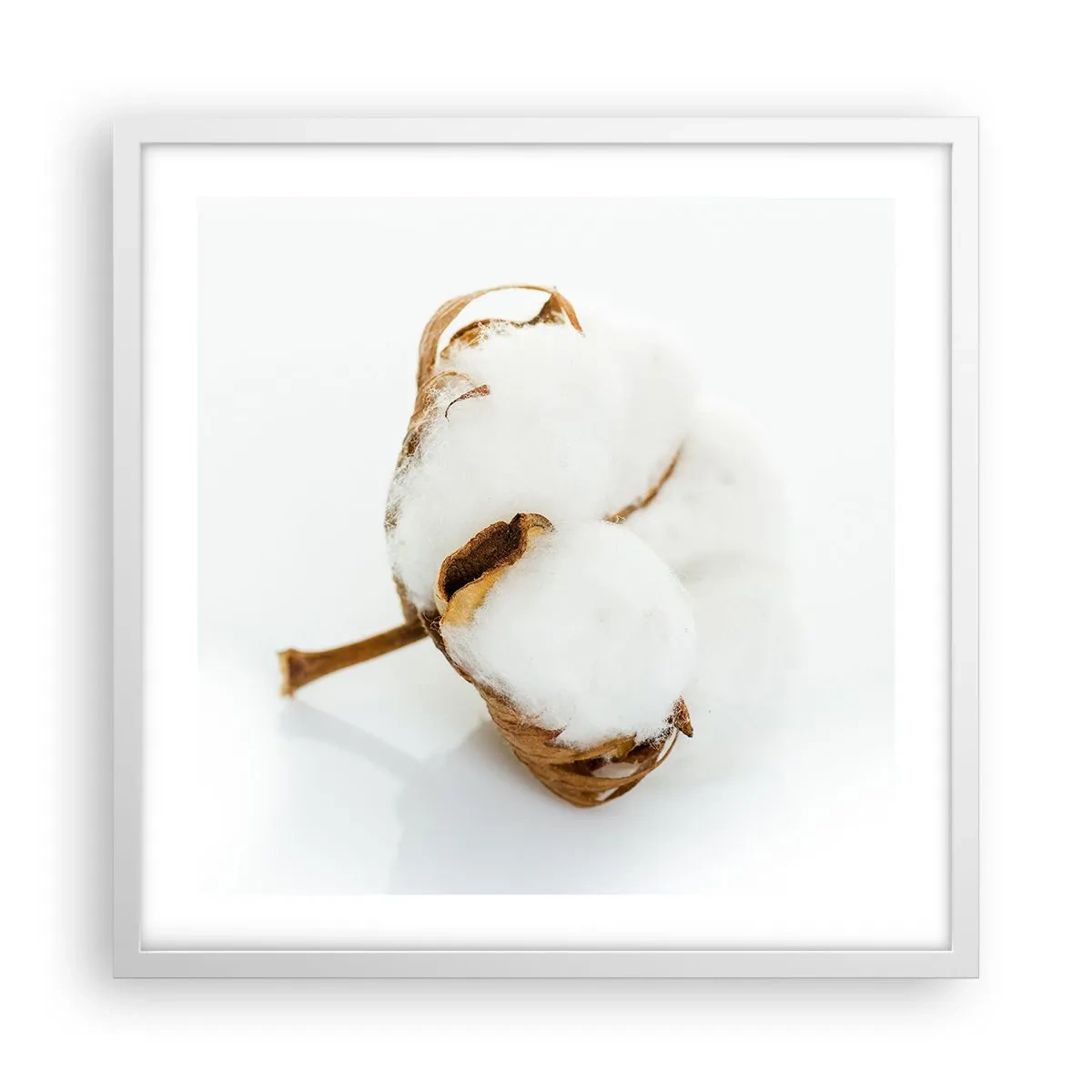 Plakat w białej ramie - Miękka z natury - 50x50 cm