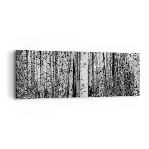 Obraz na płótnie - Brzozowa kolumnada - 90x30 cm