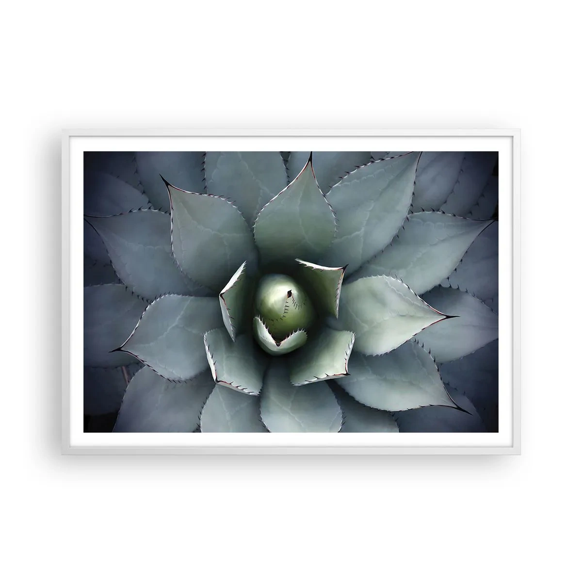 Plakat w białej ramie - Wabi i przestrzega - 100x70 cm