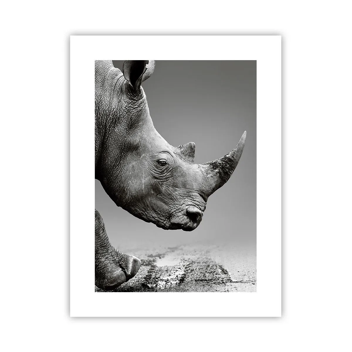 Plakat - Niepowstrzymana siła - 30x40 cm