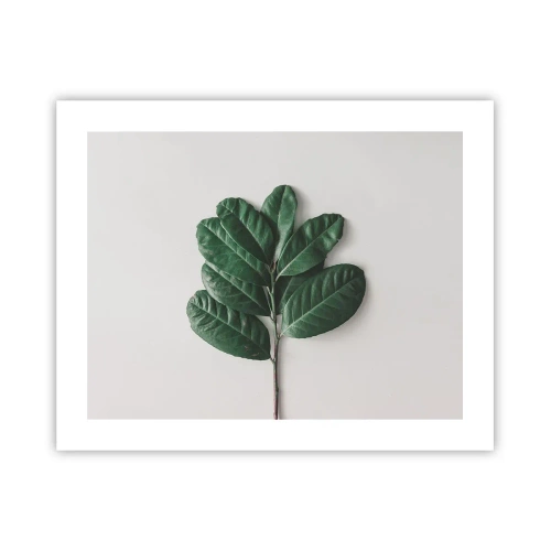 Plakat - Rysunek samej natury - 50x40 cm