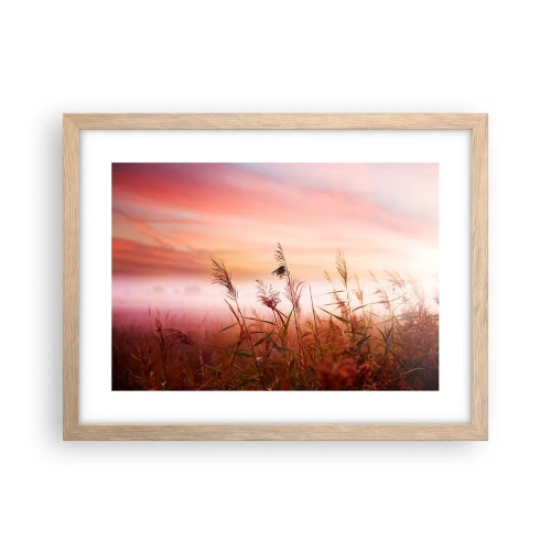 Plakat w ramie jasny dąb - Latawce, dmuchawce, wiatr - 40x30 cm