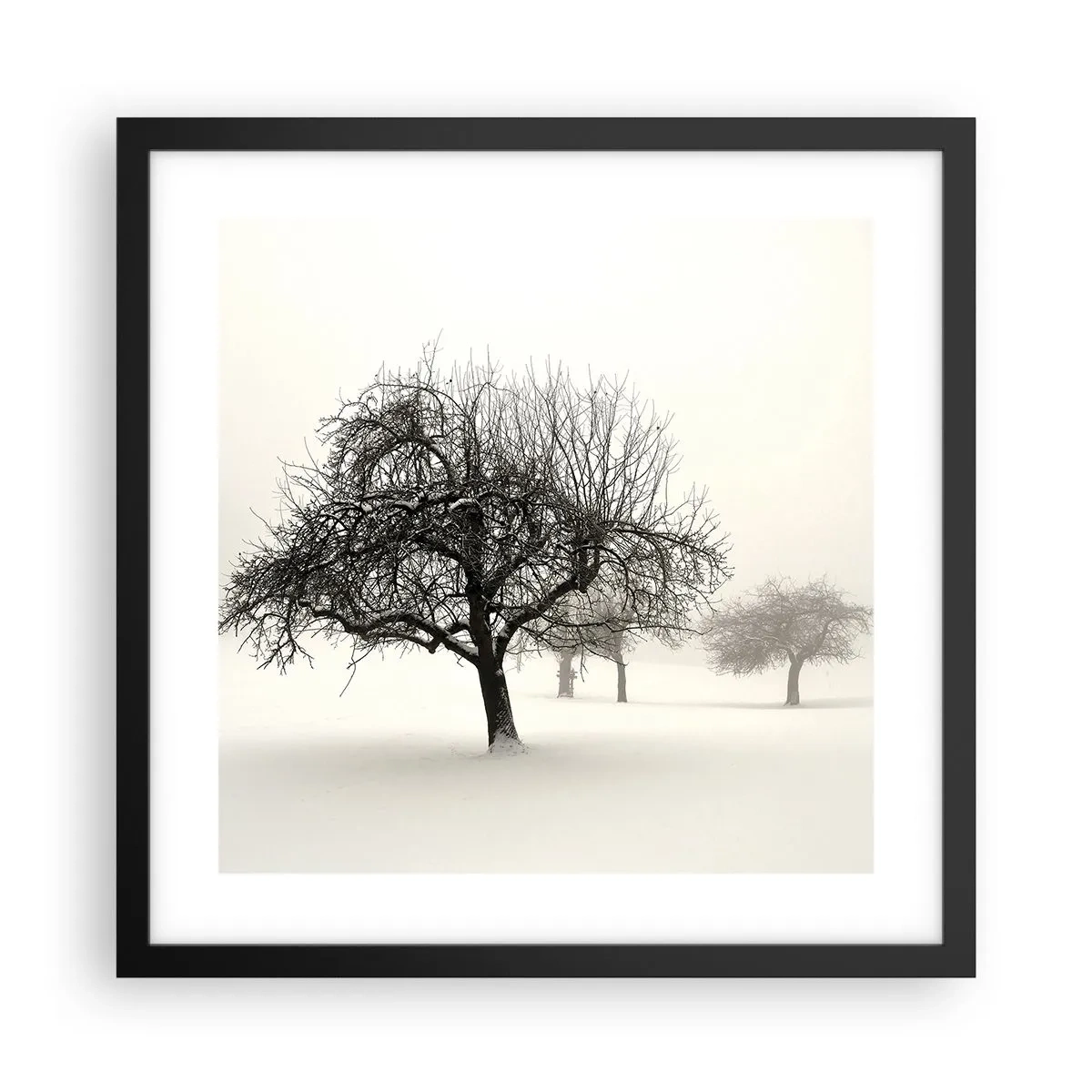 Plakat w czarnej ramie - Zimowy sen - 40x40 cm