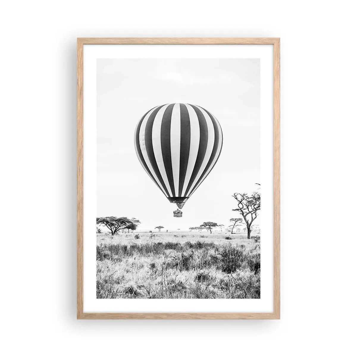 Plakat w ramie jasny dąb - Nad sawanną - 50x70 cm