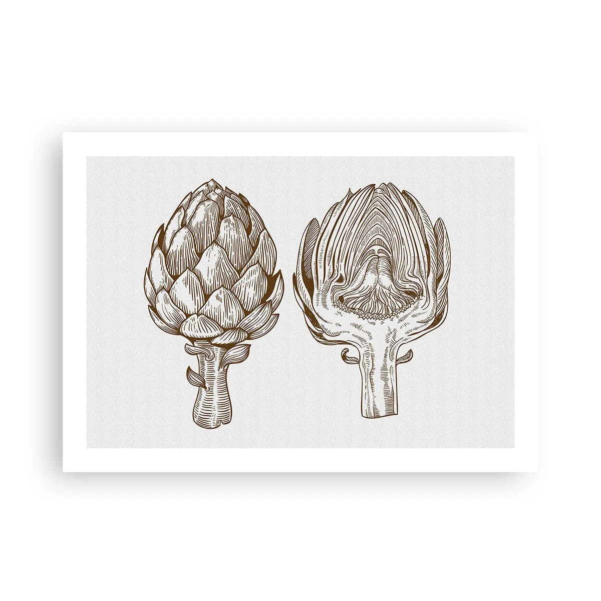 Plakat - Lekcja anatomii - 70x50 cm