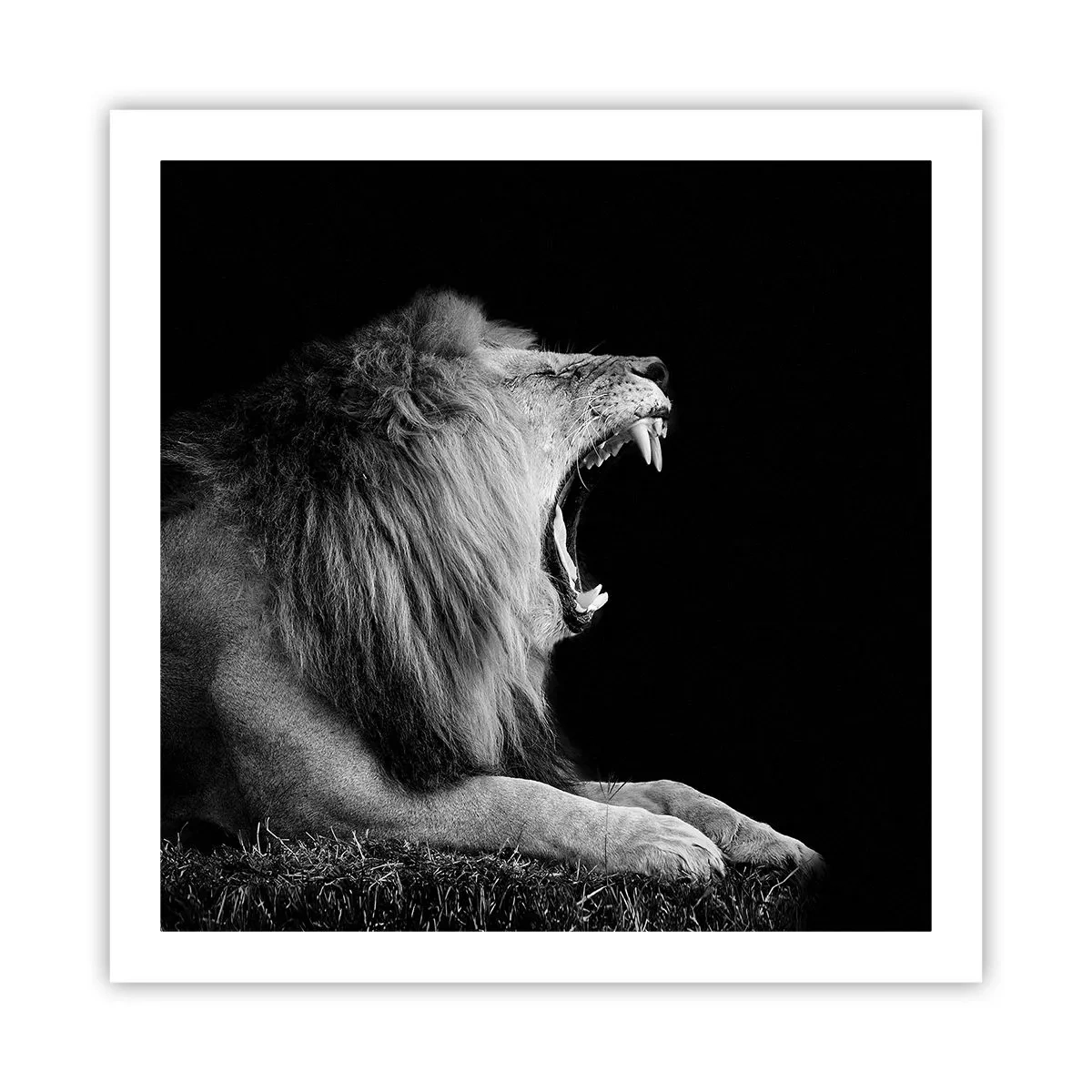 Plakat - Bez żadnych wątpliwości - 60x60 cm