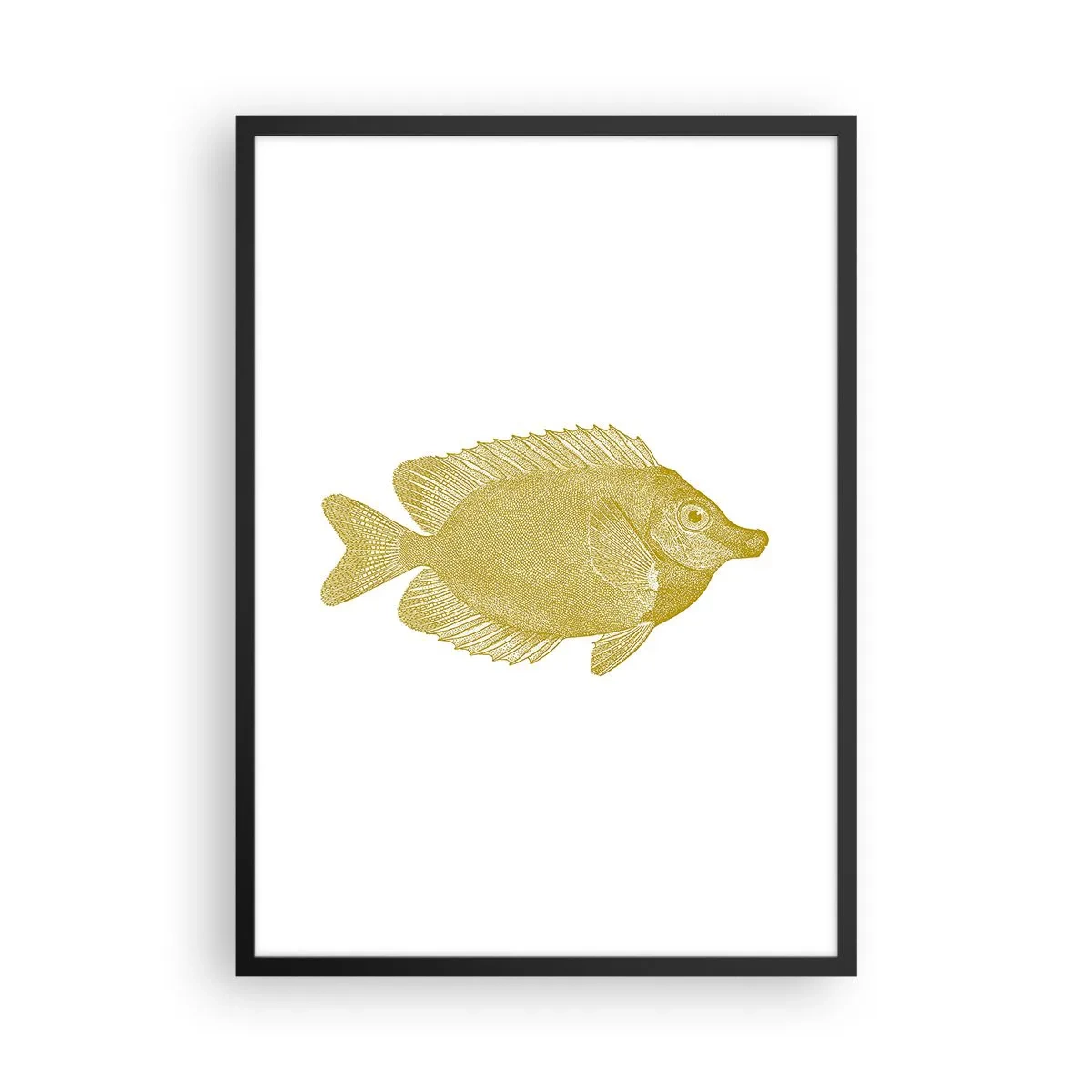 Plakat w czarnej ramie - Złota ryba w stylu vintage na białym tle - 50x70cm - Ryba i tyle - Nowoczesna dekoracja ścienna do salonu i sypialni ARTTOR