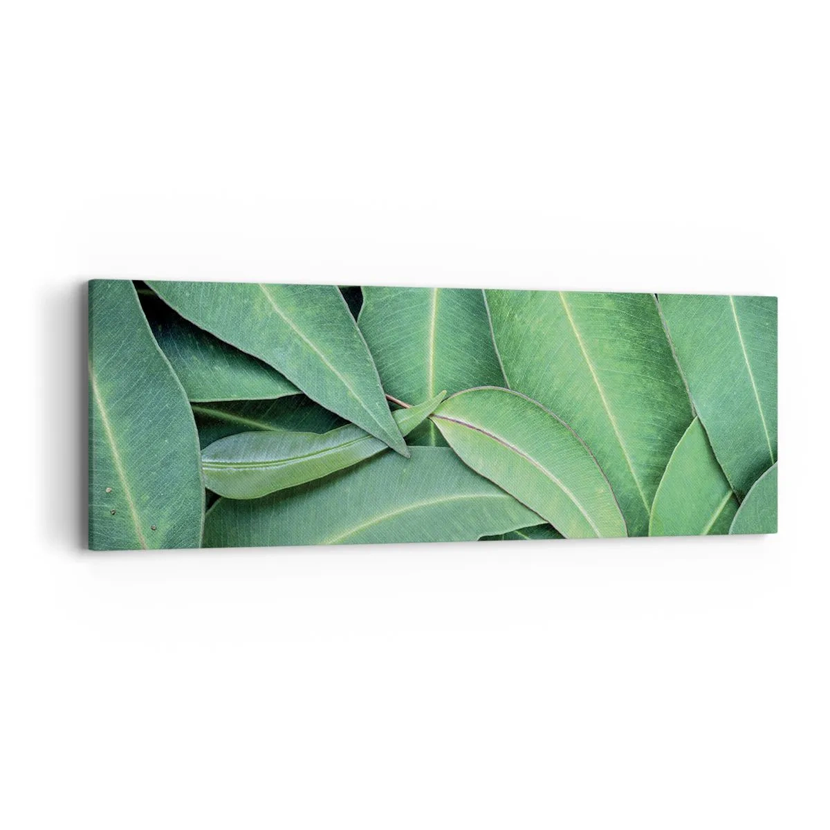 Obraz na płótnie - Soczyste i świeże - 90x30 cm