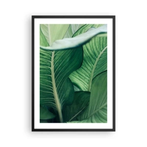 Plakat w czarnej ramie - Zielone liście rośliny w zbliżeniu - 50x70cm - Życie intensywnie zielone - Nowoczesna dekoracja ścienna do salonu i sypialni ARTTOR