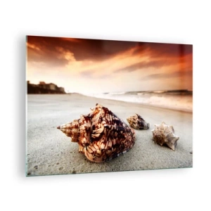 Obraz na szkle - Muszle na plaży o zachodzie słońca - 70x50cm - Wygnanki fal - Nowoczesna dekoracja ścienna do salonu i sypialni ARTTOR